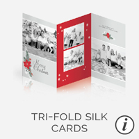 Holiday TriFold Cards